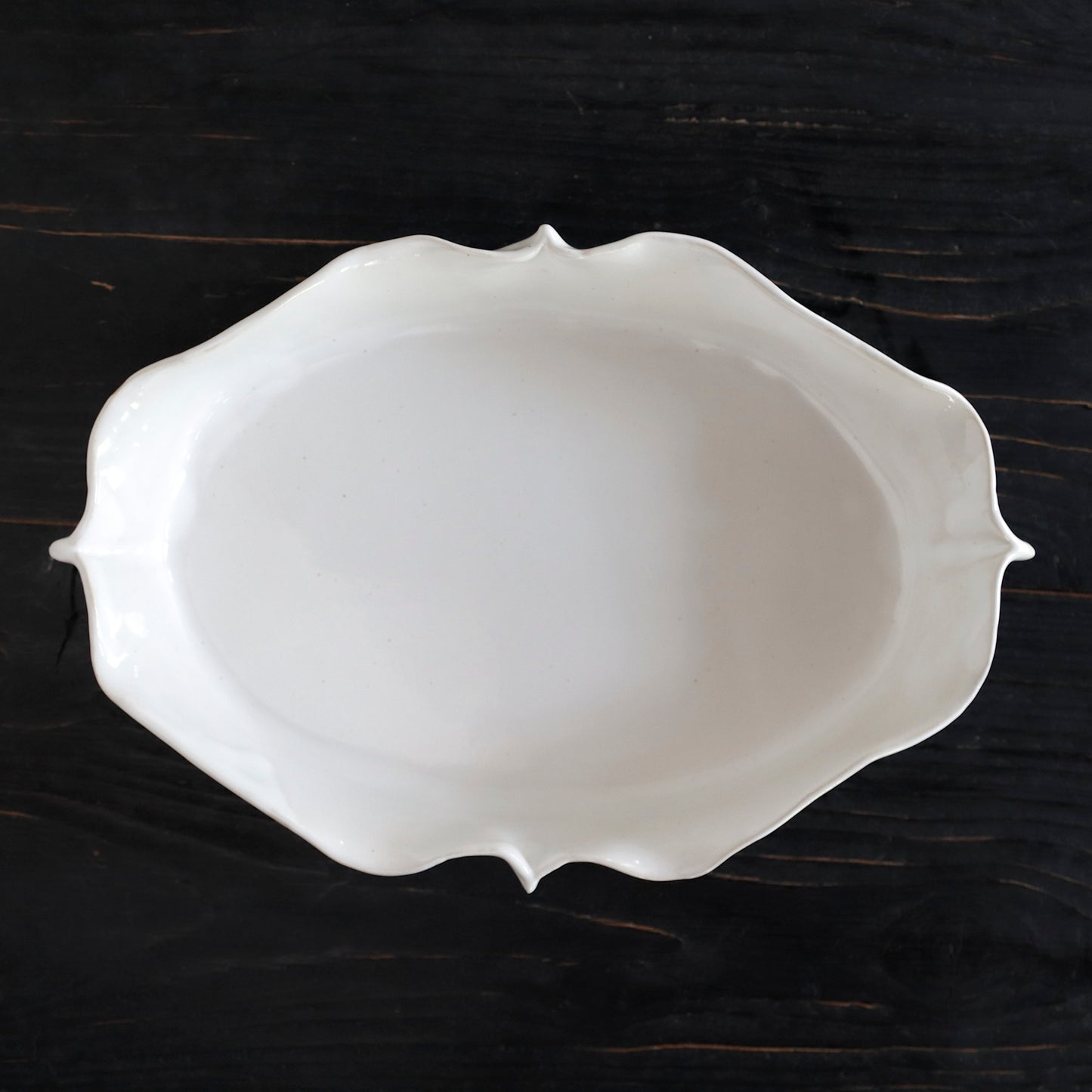 REGULAR | BIRD - Plate_L