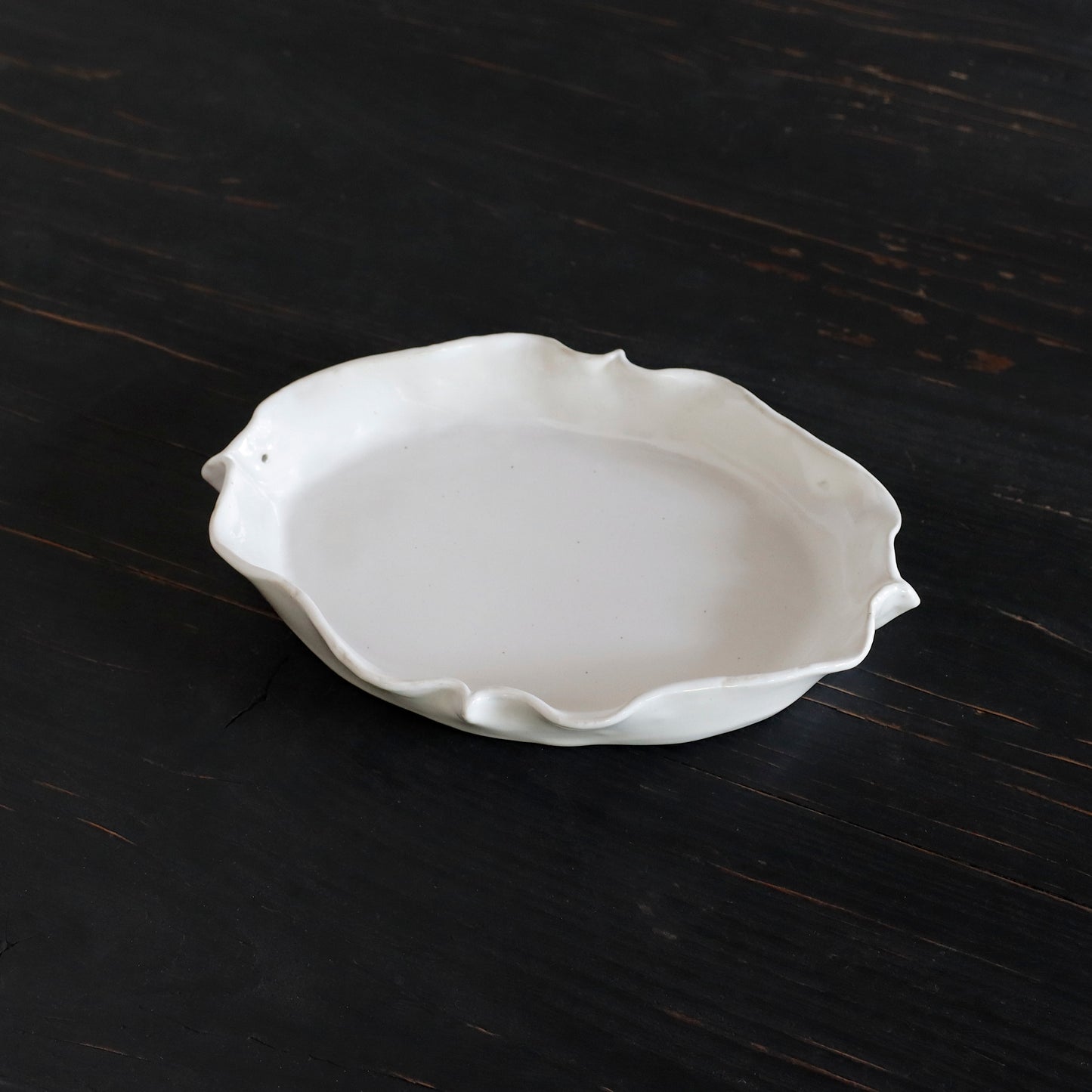 REGULAR | BIRD - Plate_M