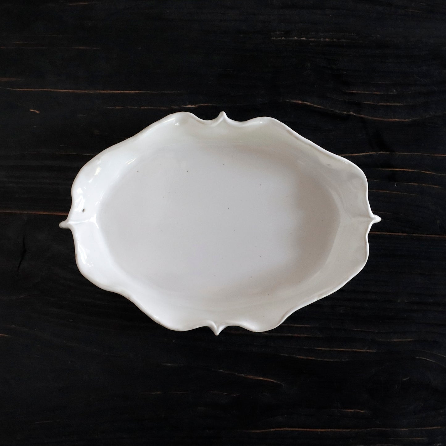 REGULAR | BIRD - Plate_M
