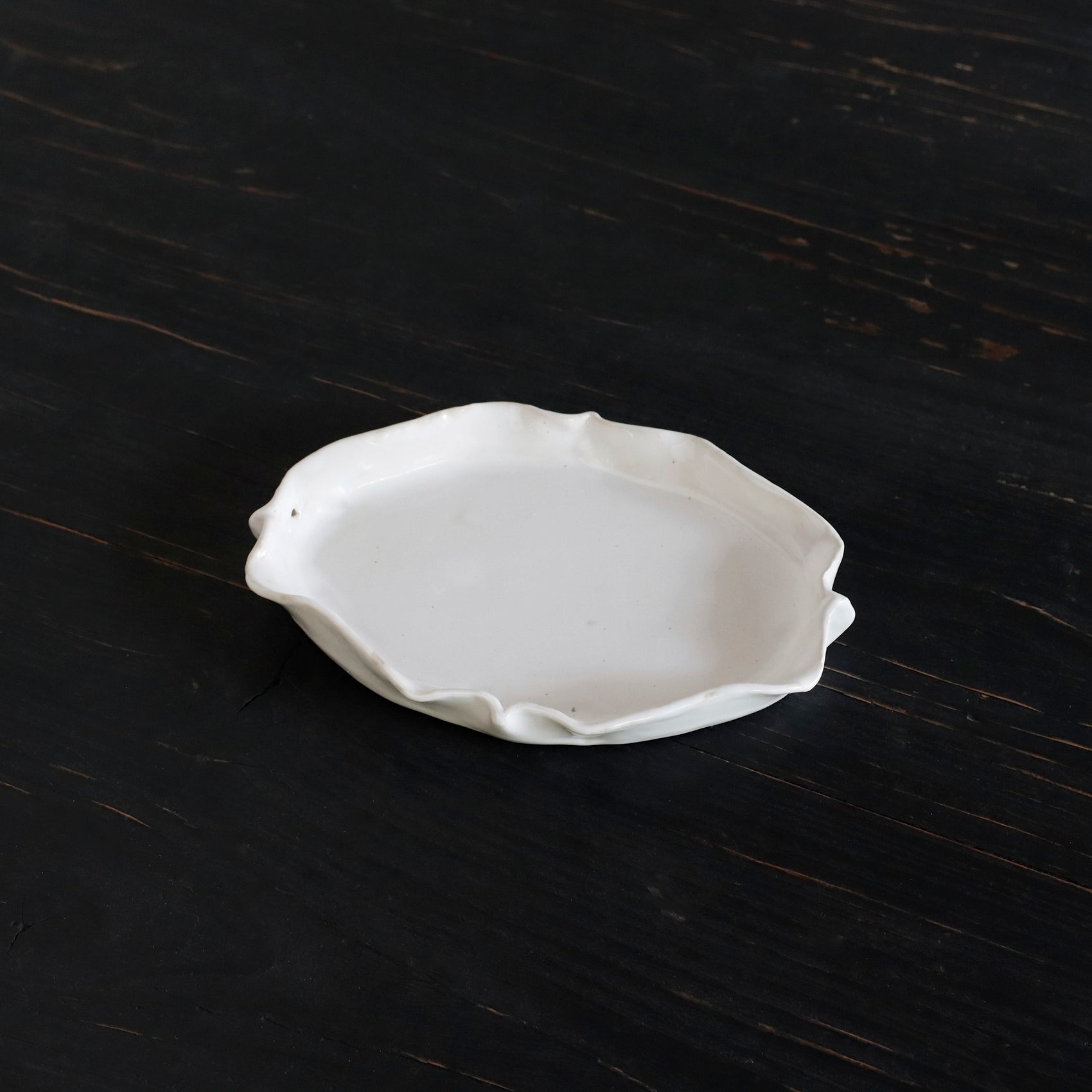 REGULAR | BIRD - Plate_S