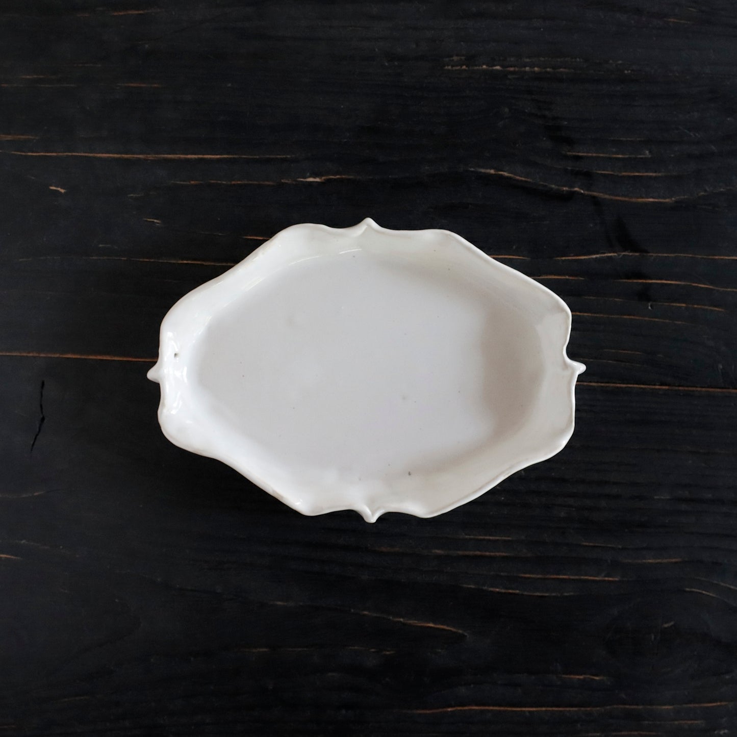 REGULAR | BIRD - Plate_S