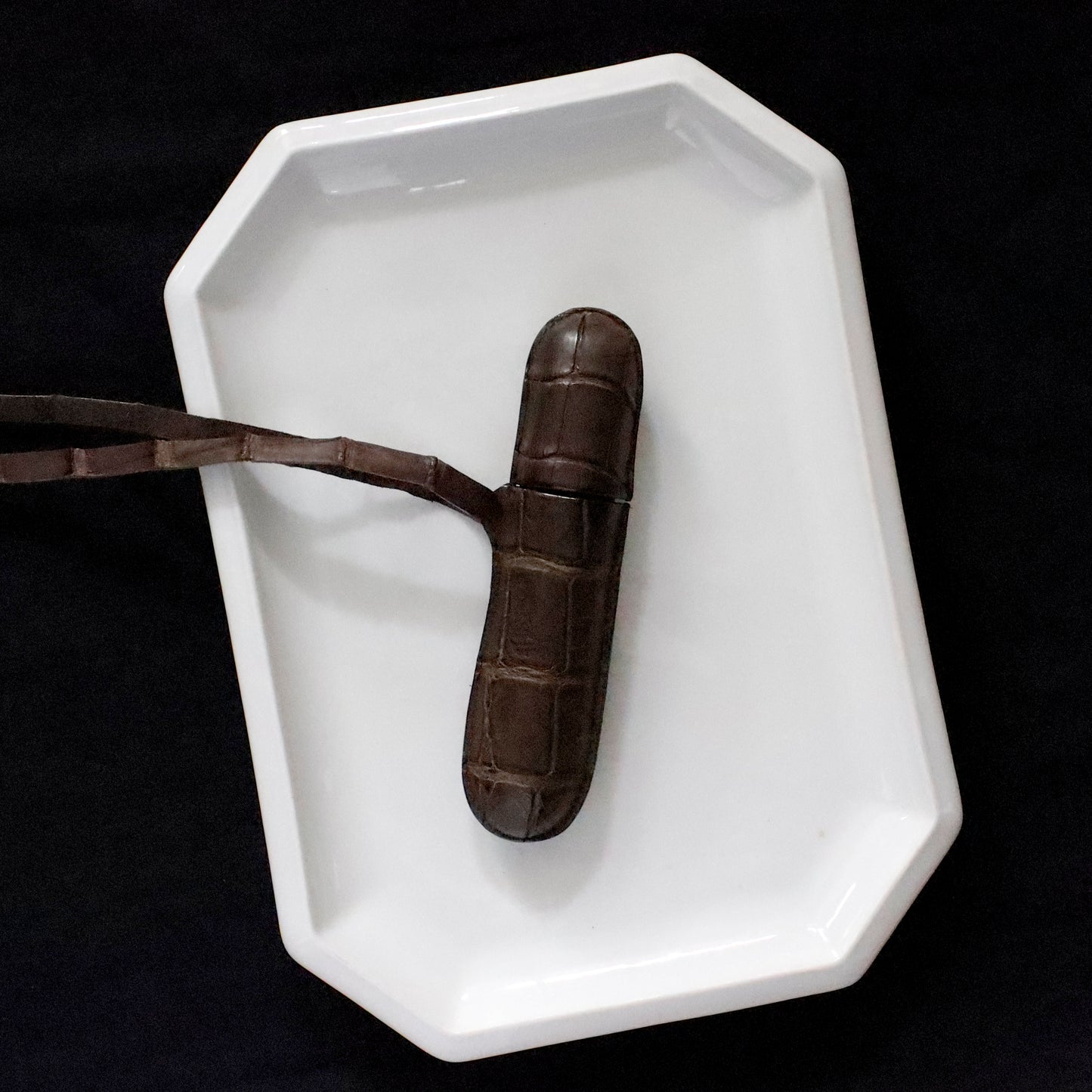 CHRISTIAN PEAU | CP PEN CASE ー CROCODILE