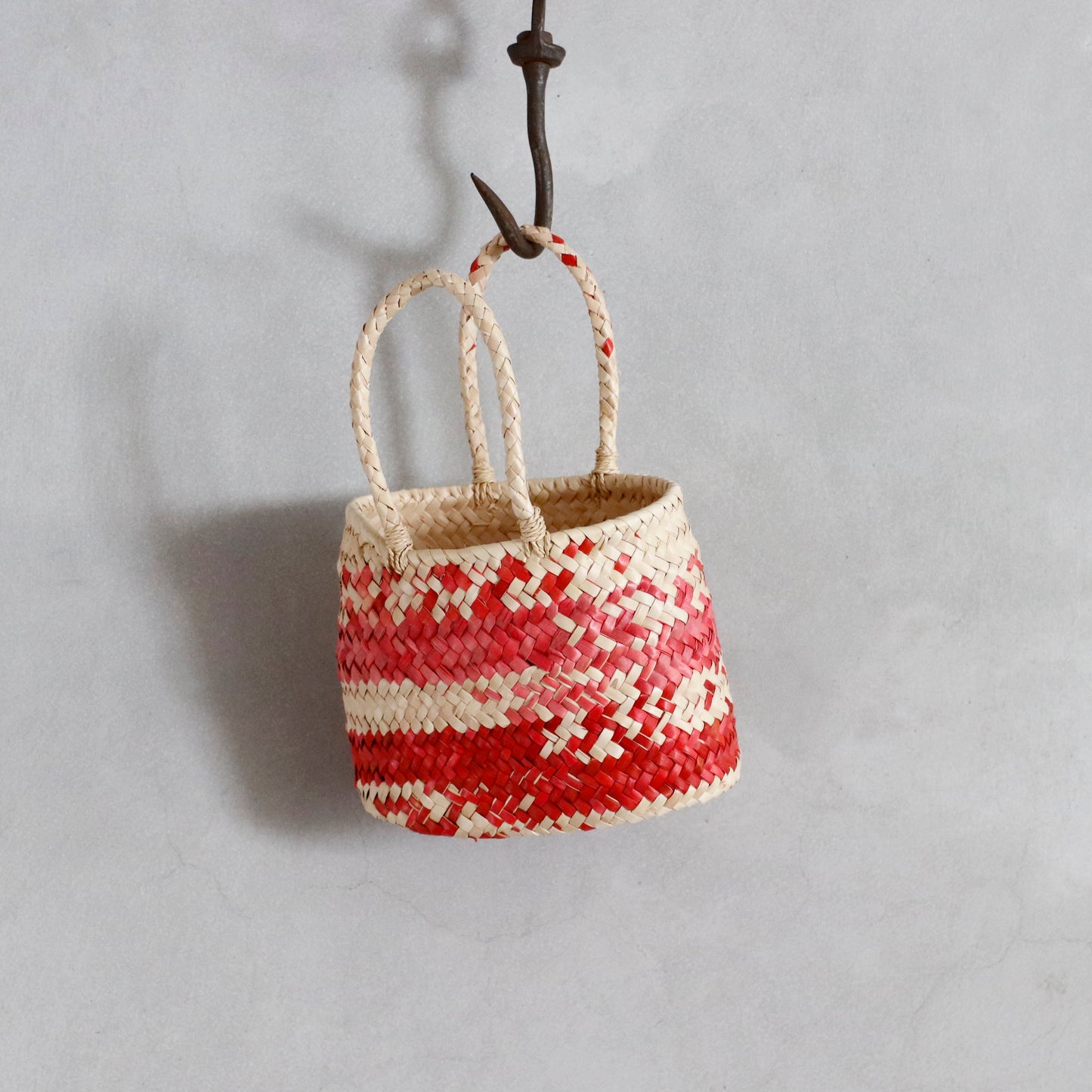 daniela gregis | bascket bacca