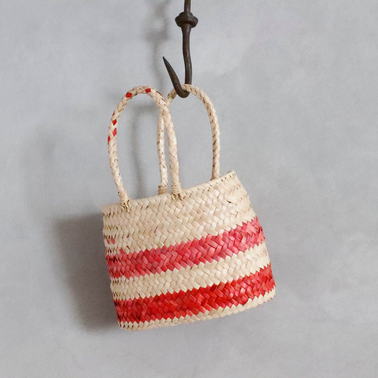 daniela gregis | bascket bacca