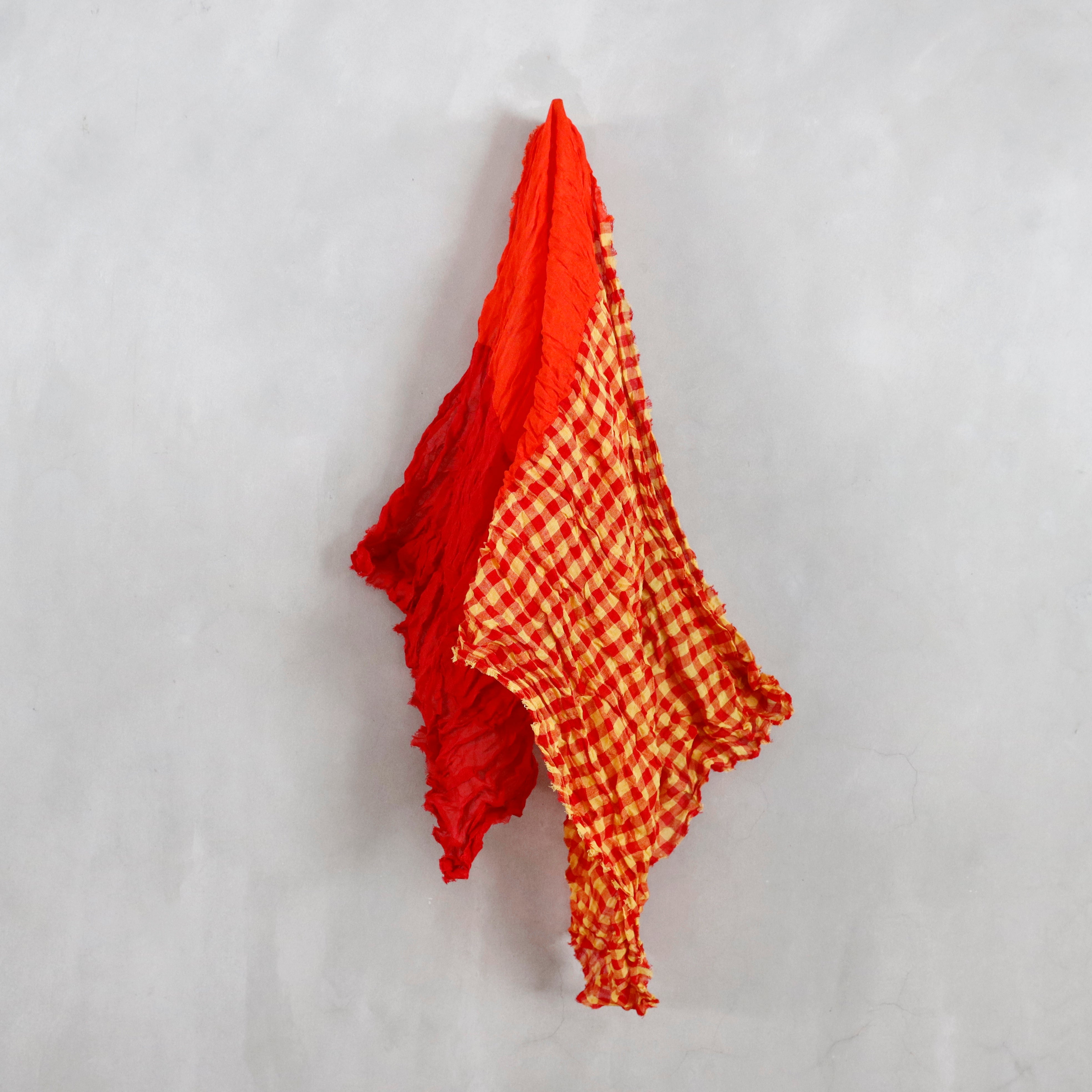 DANIELA GREGIS – VISIONS