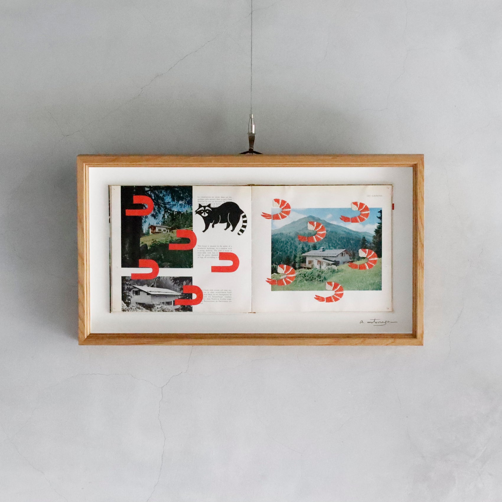 Ayako Motonaga | Shrimp