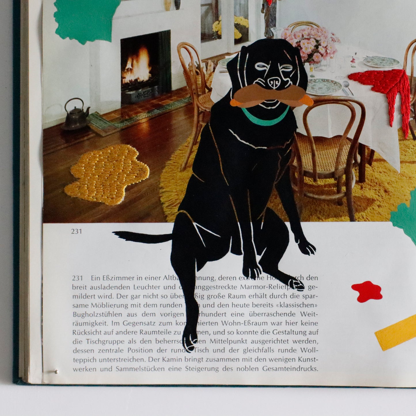 Ayako Motonaga | HOT DOG