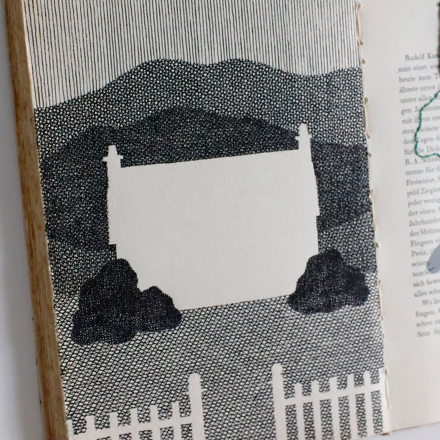 Ayako Motonaga | HOME