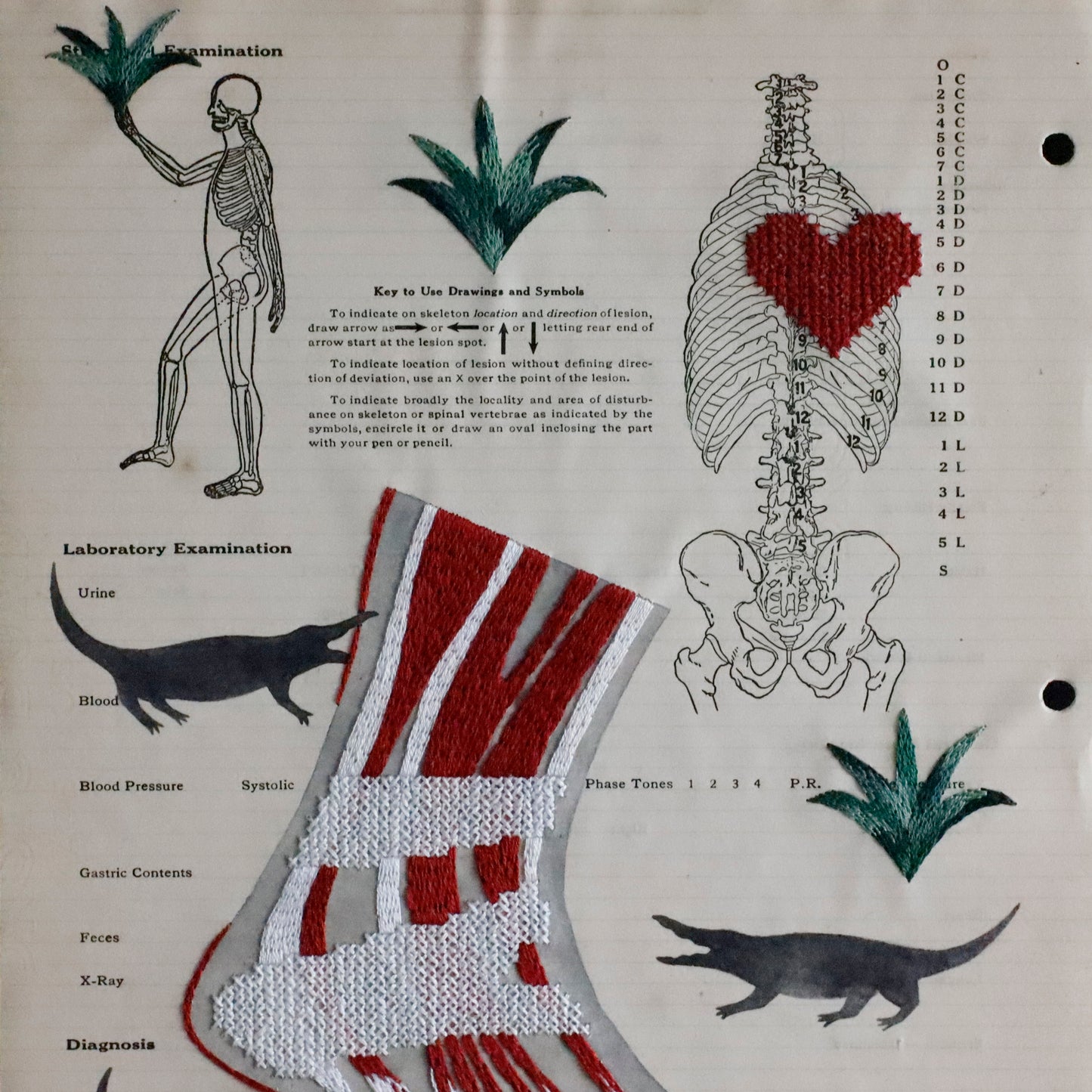 Ayako Motonaga | Foot anatomy