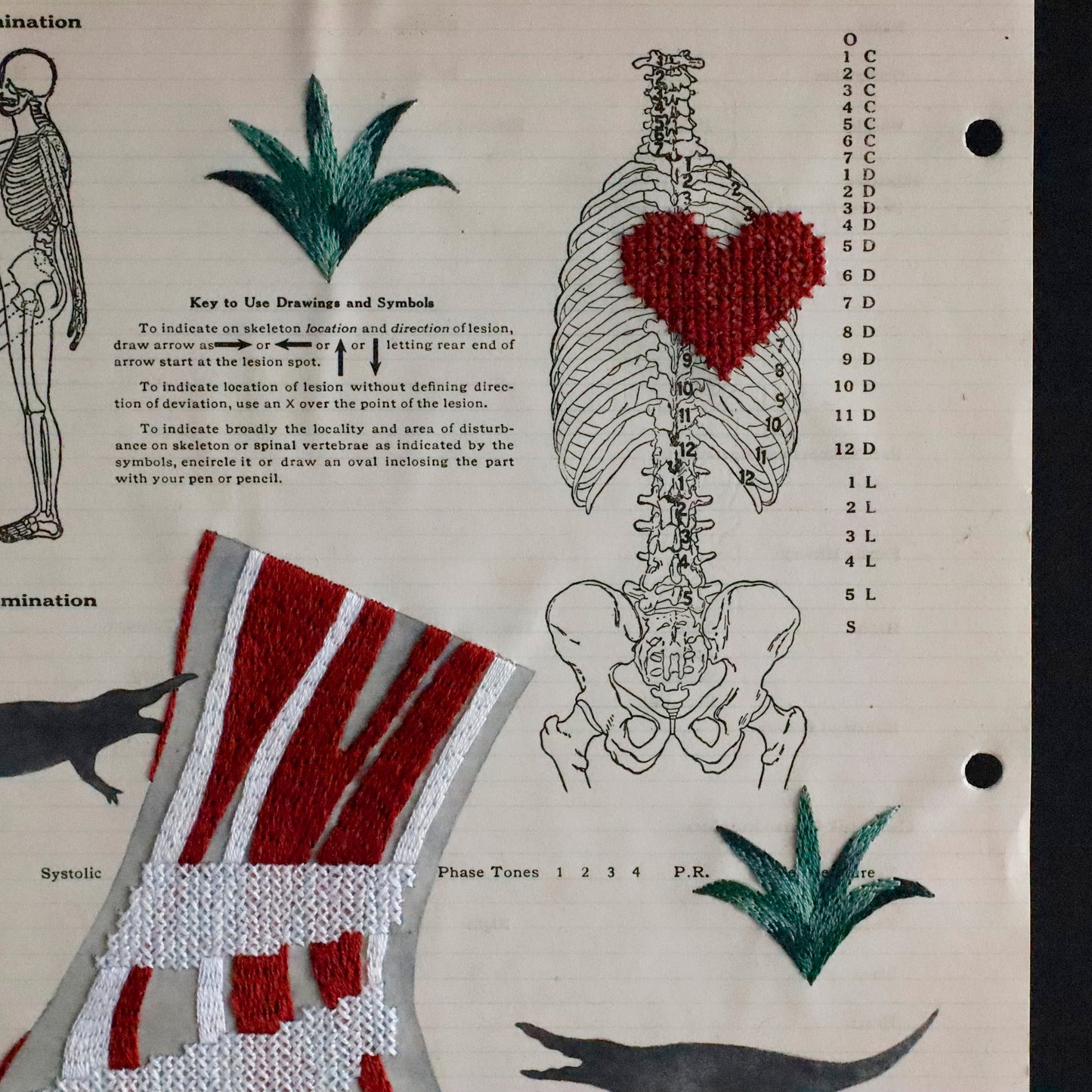 Ayako Motonaga | Foot anatomy
