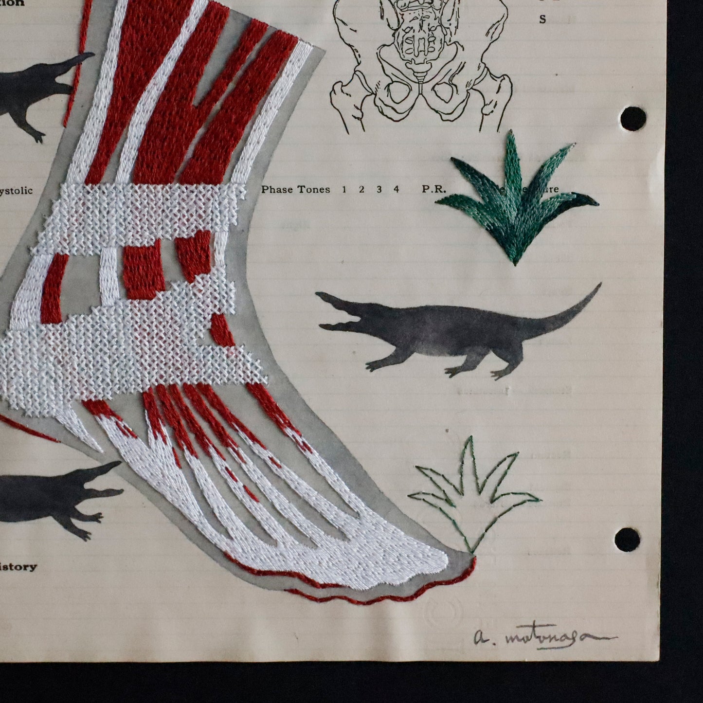 Ayako Motonaga | Foot anatomy