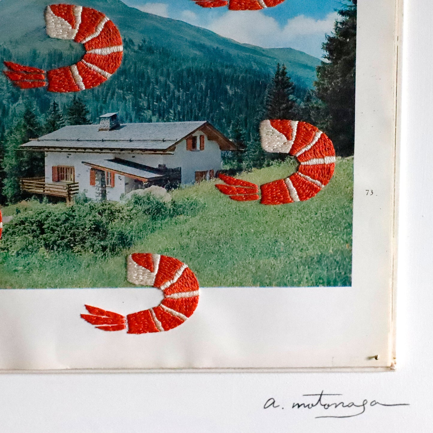 Ayako Motonaga | Shrimp