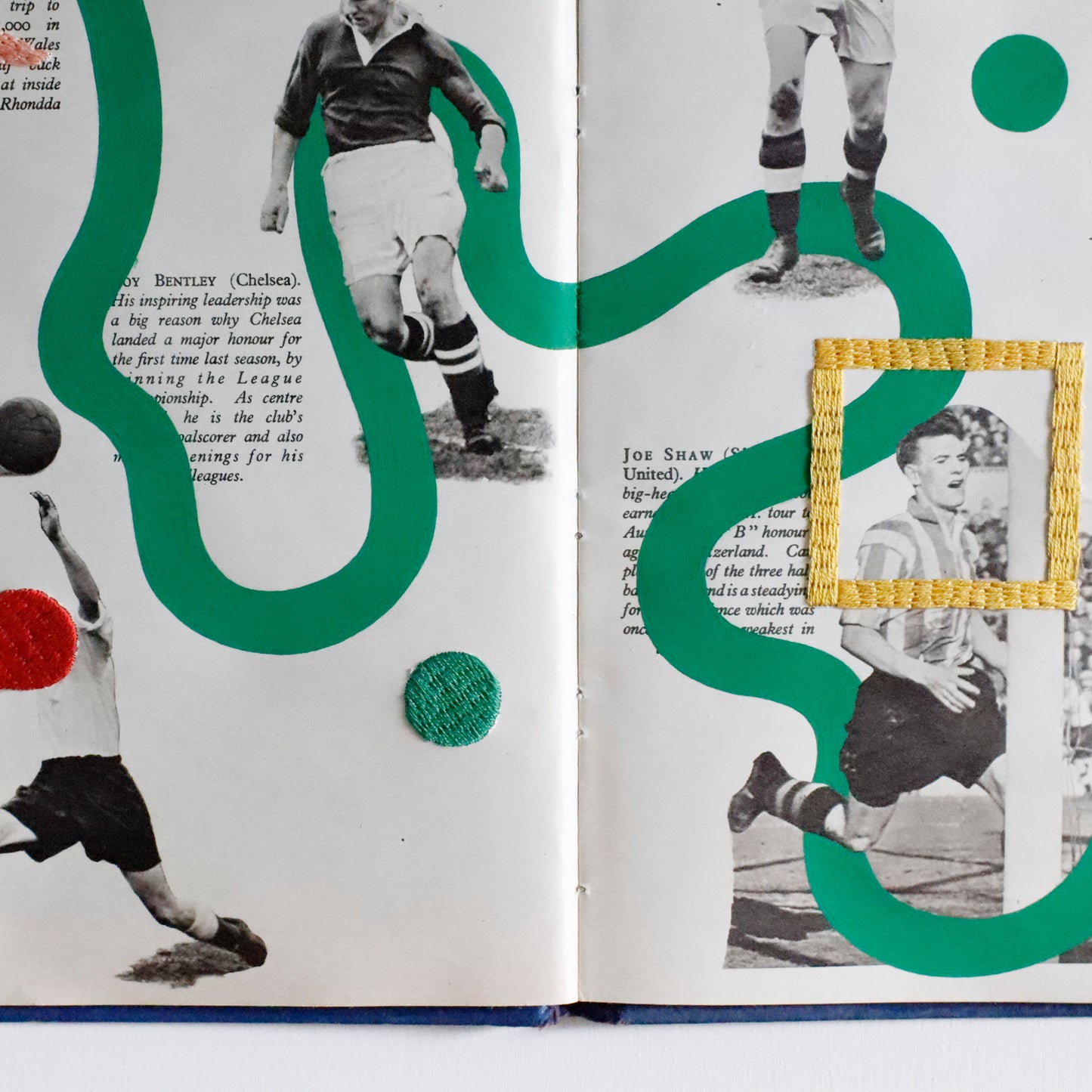 Ayako Motonaga | Soccer Player