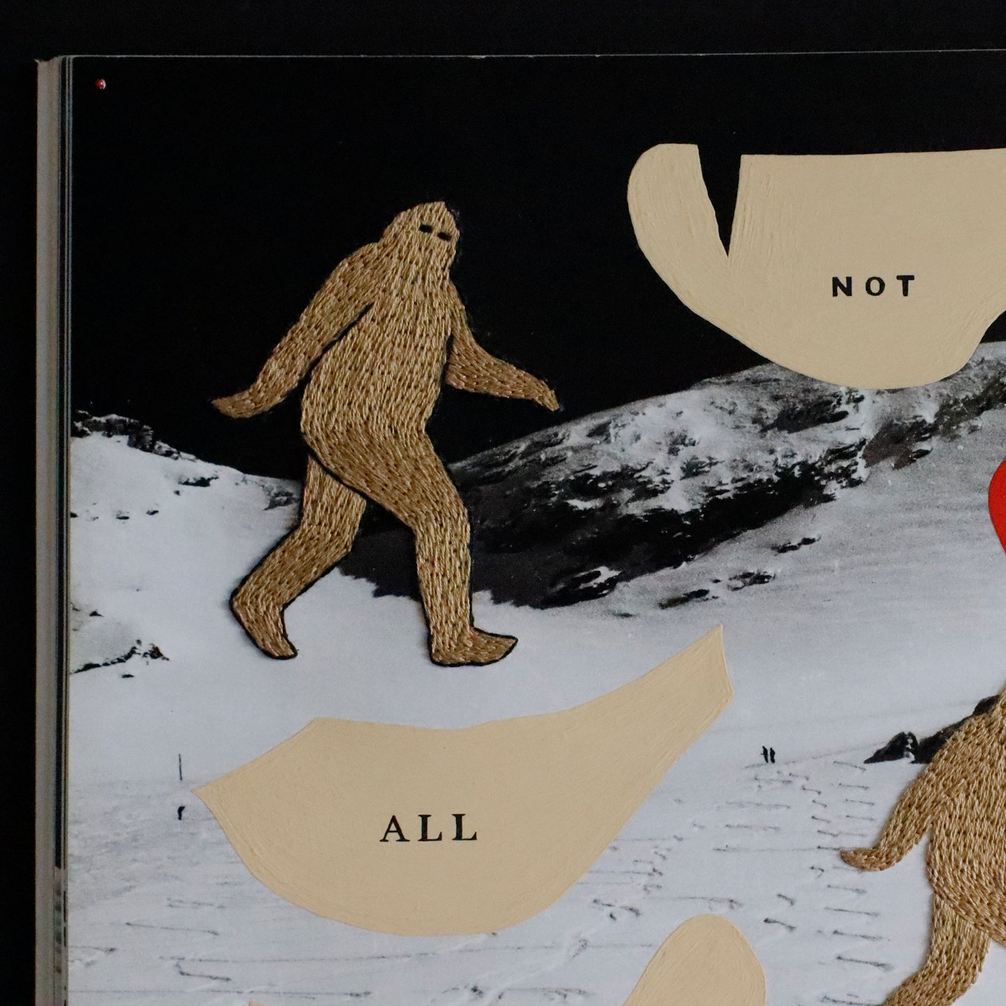 Ayako Motonaga | BIG FOOT Journey