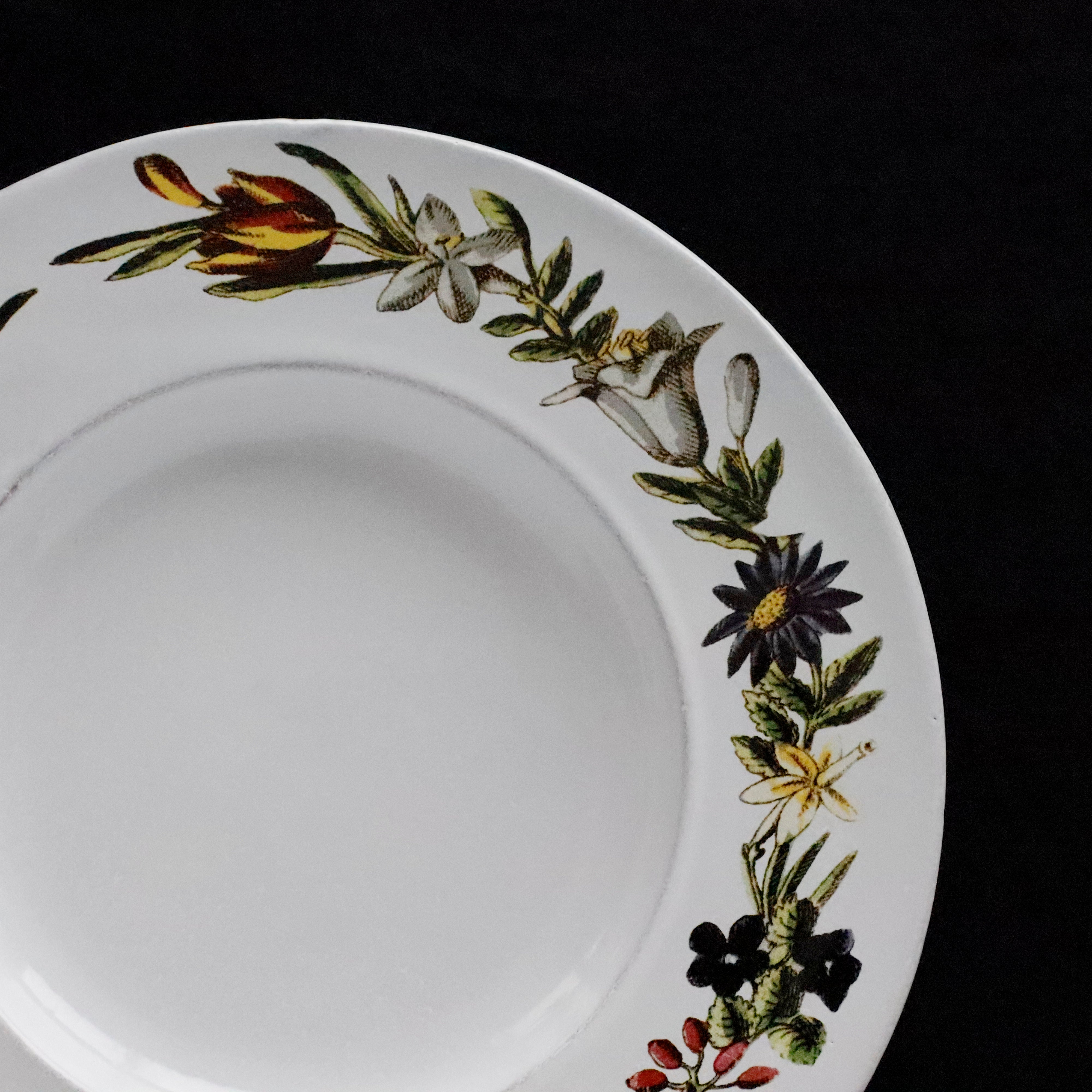 Astier de Villatte アスティエ ジョンデリアン お花 Astier de Villatte アスティエ ジョンデリアン お花