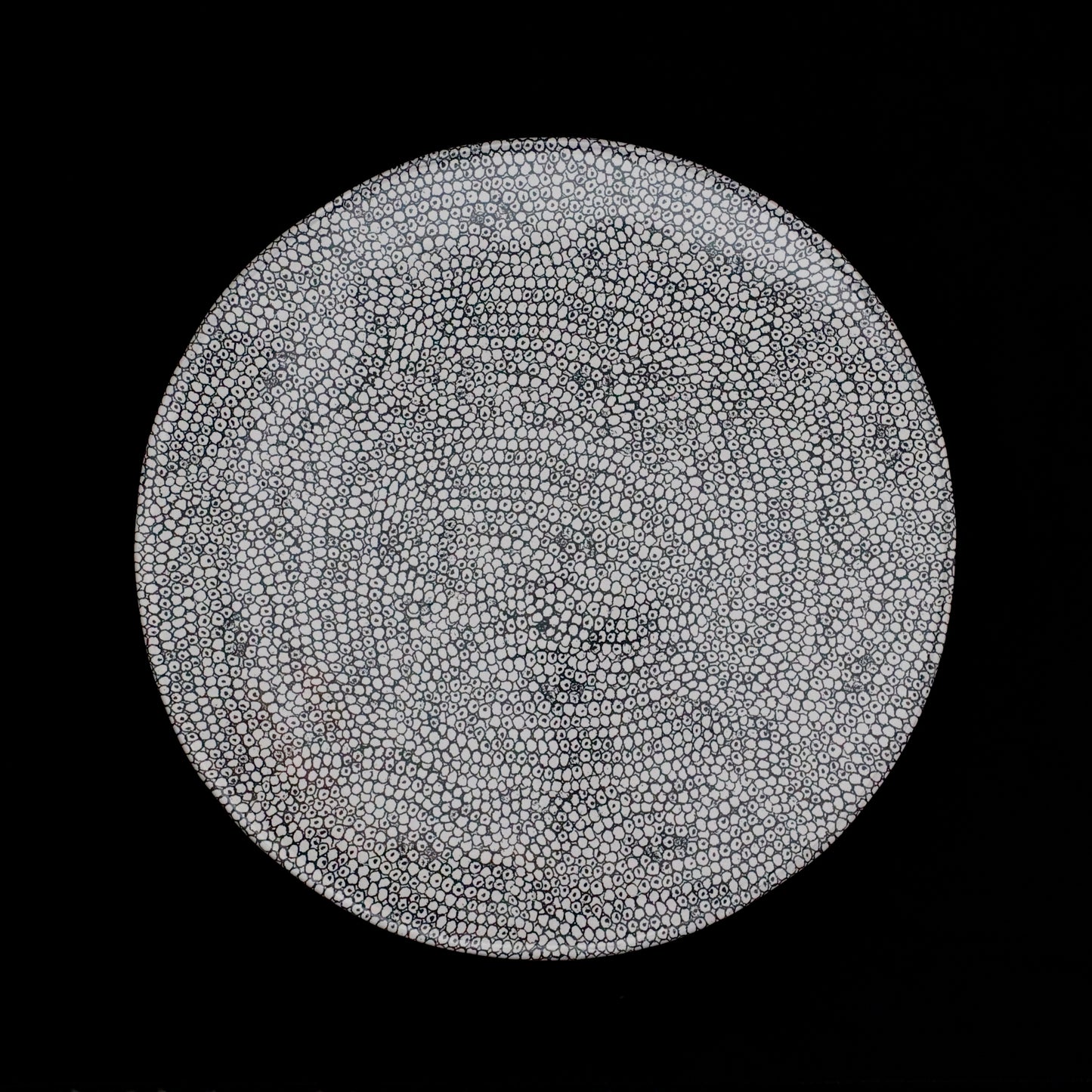 ASTIER de VILLATTE | "John Derian" Double Patterns Cake Stand