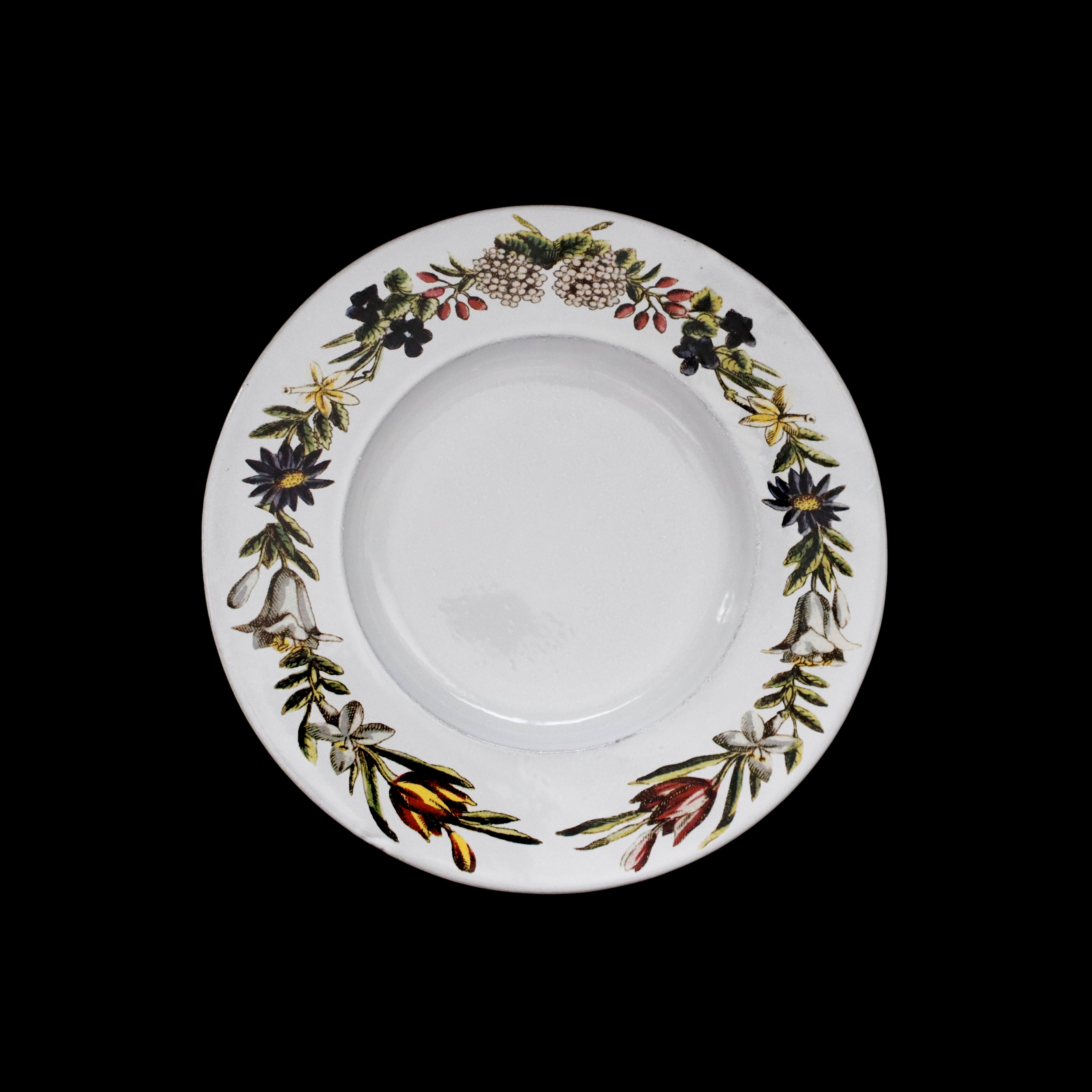 ASTIER de VILLATTE John Derian てんとう虫