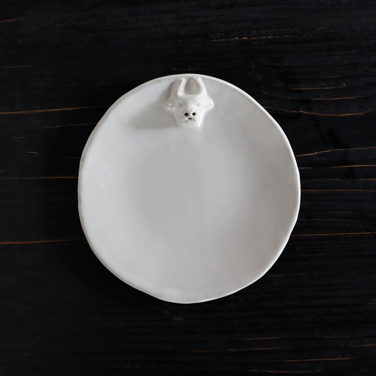 REGULAR | USHI - Plate_M