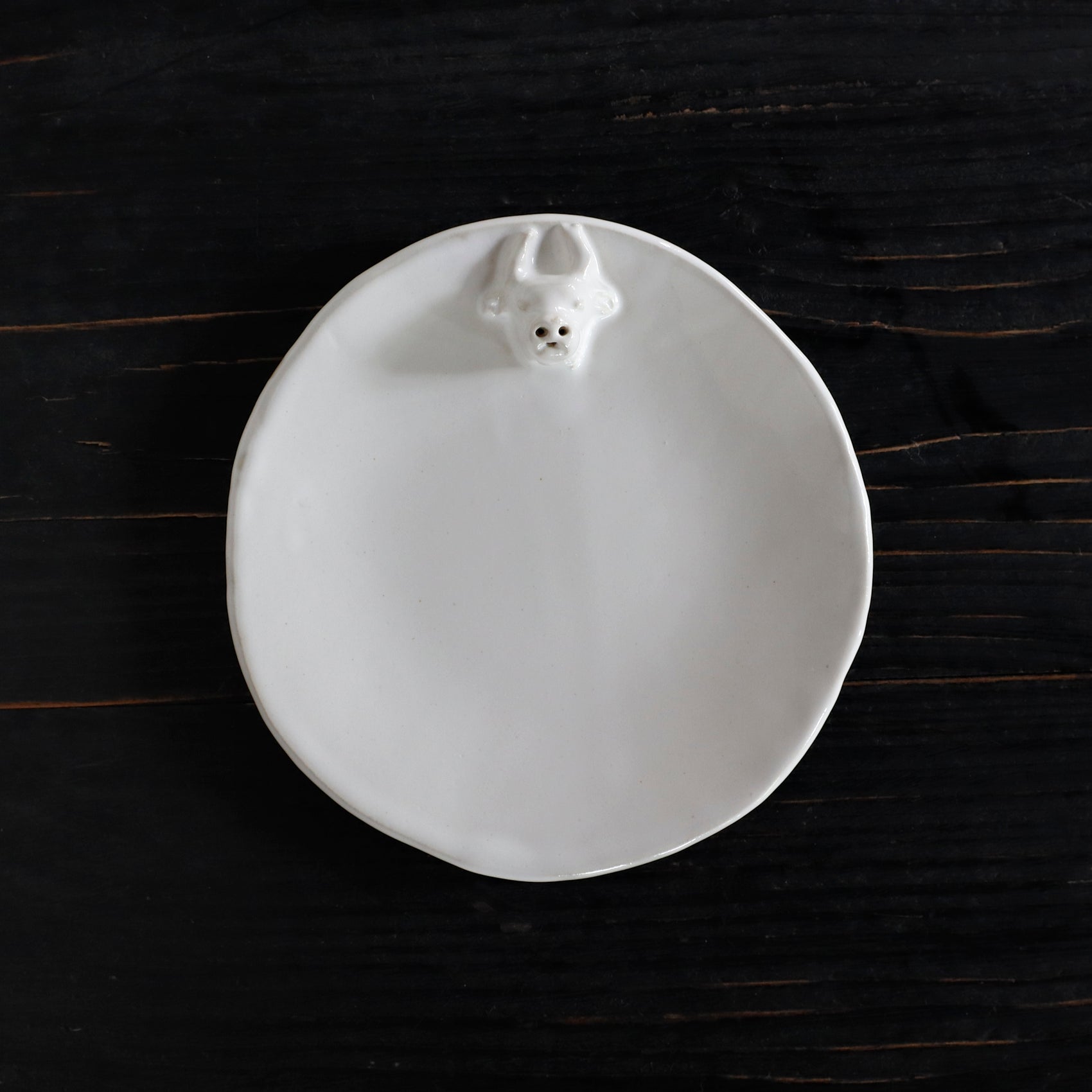 REGULAR | USHI - Plate_M