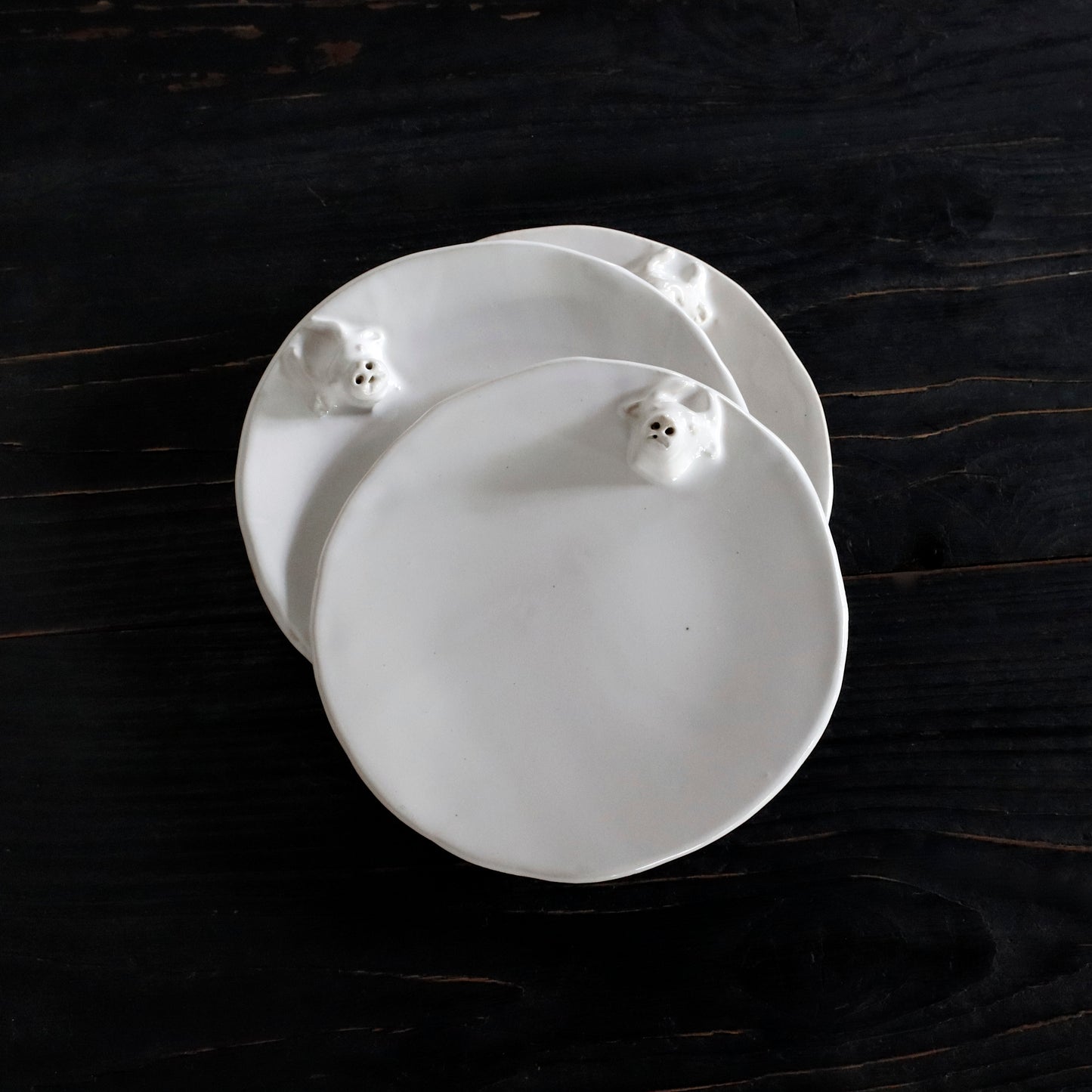 REGULAR | USHI - Plate_M