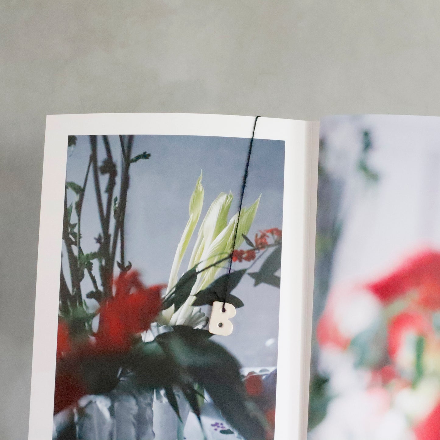 WORDS DANCE IN THE AIR | Photobook - STUDIO Birbira Works Collection Vol.1